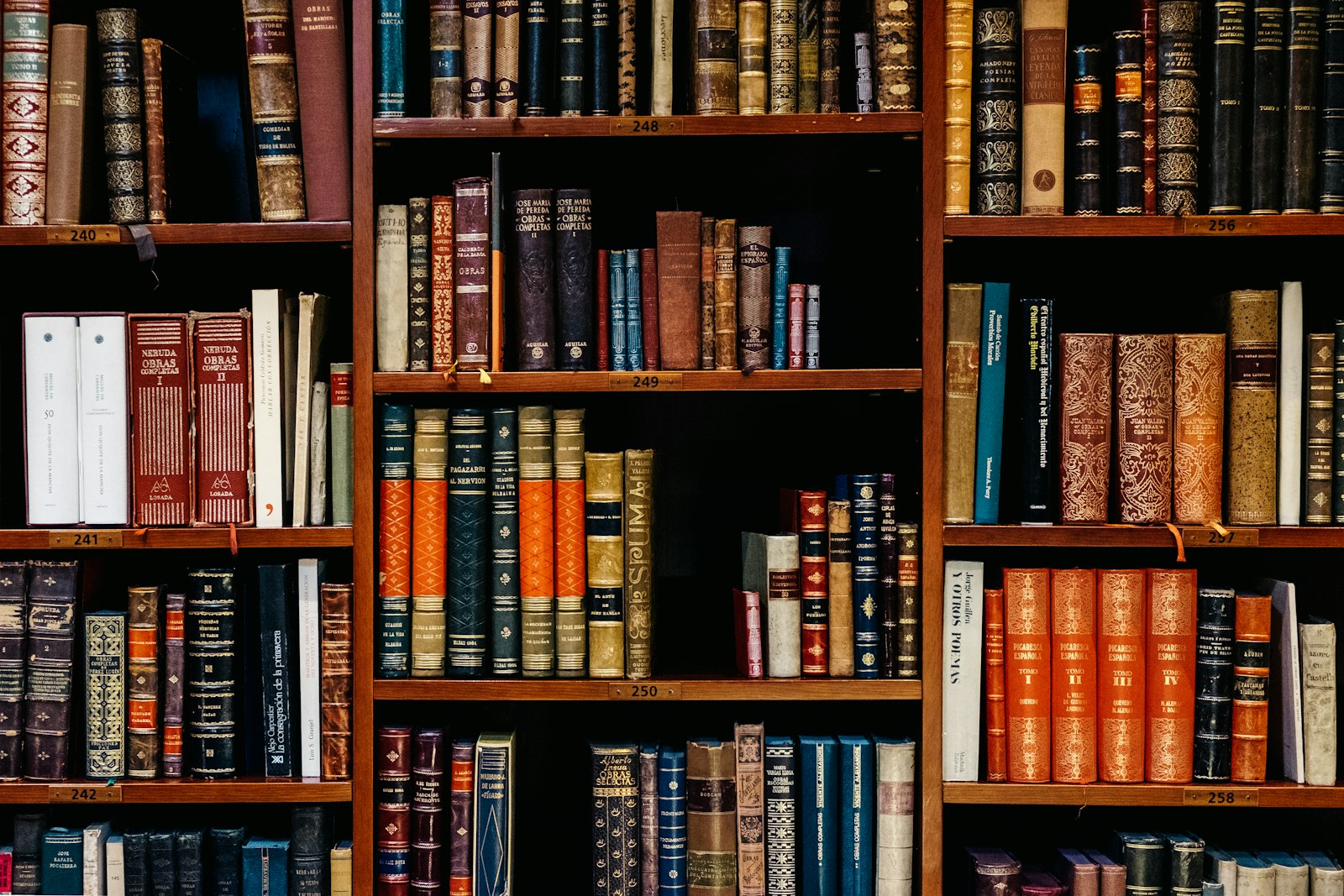 المكتبة